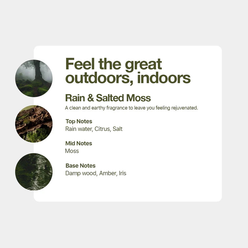 Rain & Salted Moss Textilduftspray