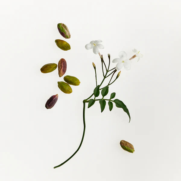 Fresh Pistachio Waschmittel & Weichspüler