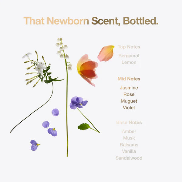 12 Flaschen Little Miracle